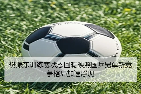 樊振东训练赛状态回暖映照国乒男单新竞争格局加速浮现（ANBOSPORTS）